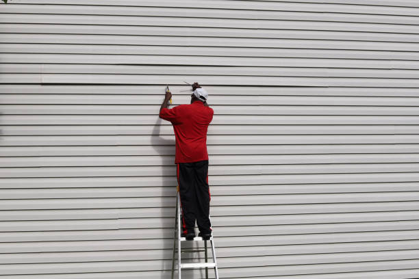 Best Insulated Siding Installation  in Preston, TX